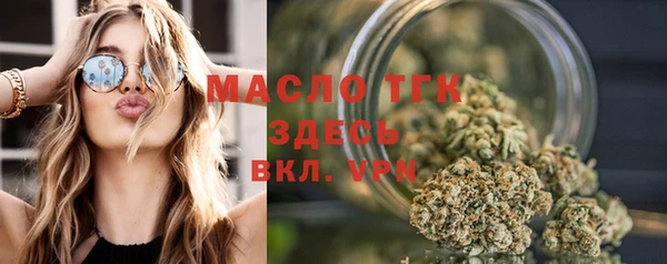 сатива Медногорск