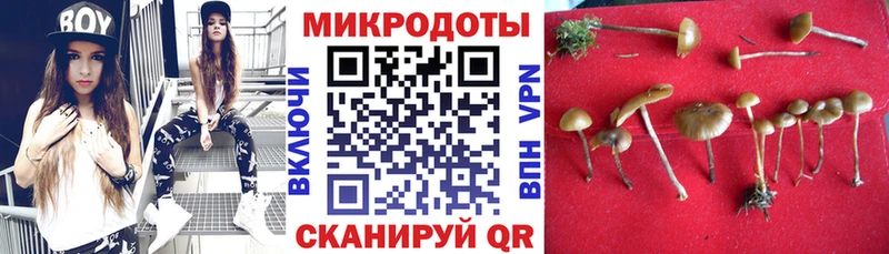 Галлюциногенные грибы MAGIC MUSHROOMS Сухиничи